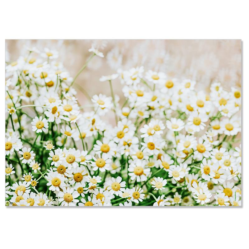 Trendform Papiertischset GARDEN POETRY 4 Sujets à 12 Blatt