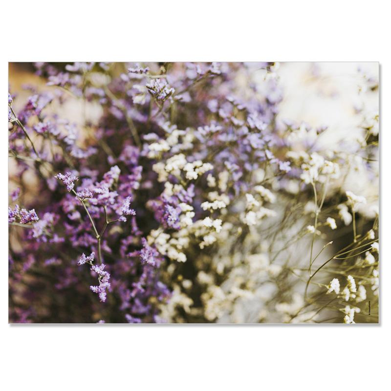 Trendform Papiertischset GARDEN POETRY 4 Sujets à 12 Blatt