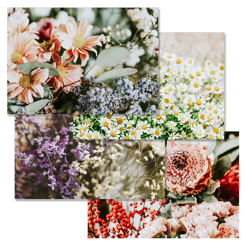 trendform Papiertischset GARDEN POETRY 4 Sujets à 12 Blatt