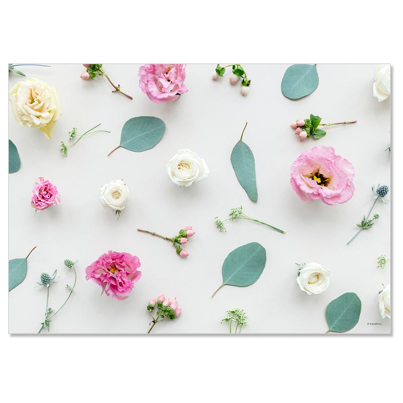 Trendform Papiertischset PRINTEMPS 4 Sujets à 12 Blatt