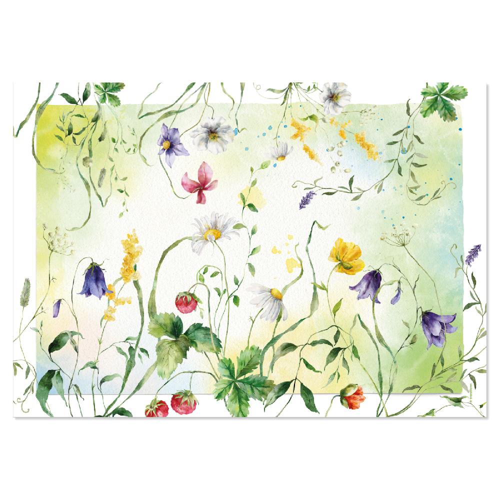 Trendform Papiertischset WILD FLOWER 4 Sujets à 12 Blatt