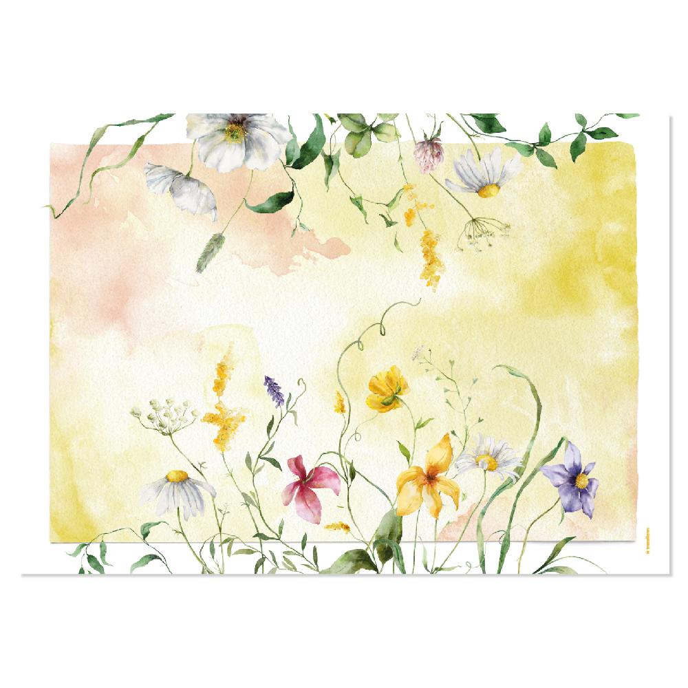 Trendform Papiertischset WILD FLOWER 4 Sujets à 12 Blatt