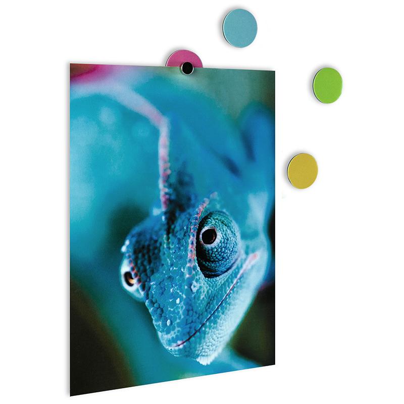 Trendform Selbstklebende Haftpunkte ELEMENT FLEX DOT Für Magnete 28er Set Multicolor