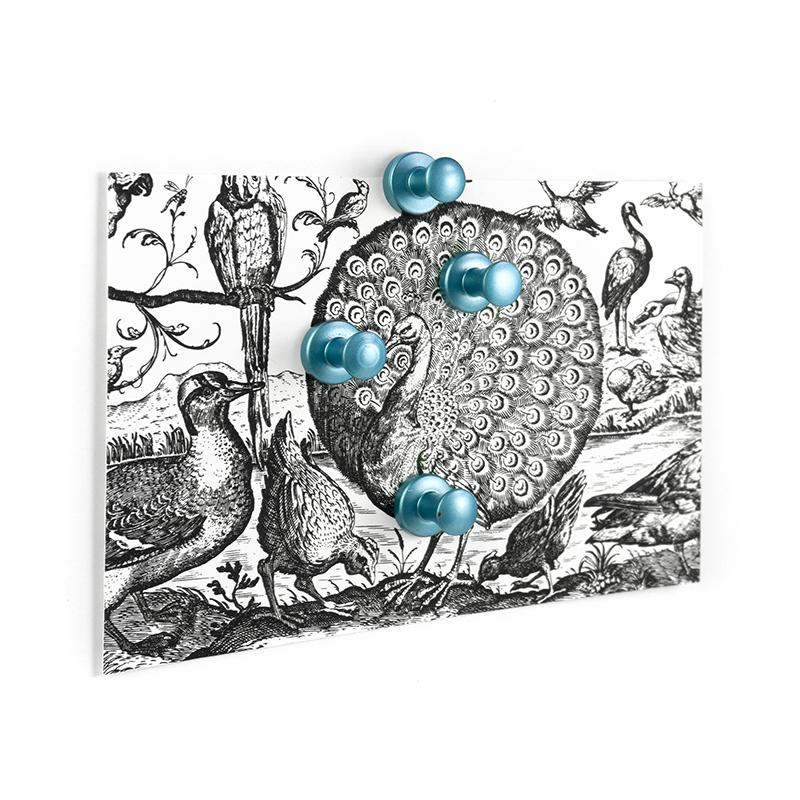 Trendform Superstrong Magnets MINI-MAX 4er Set Blau