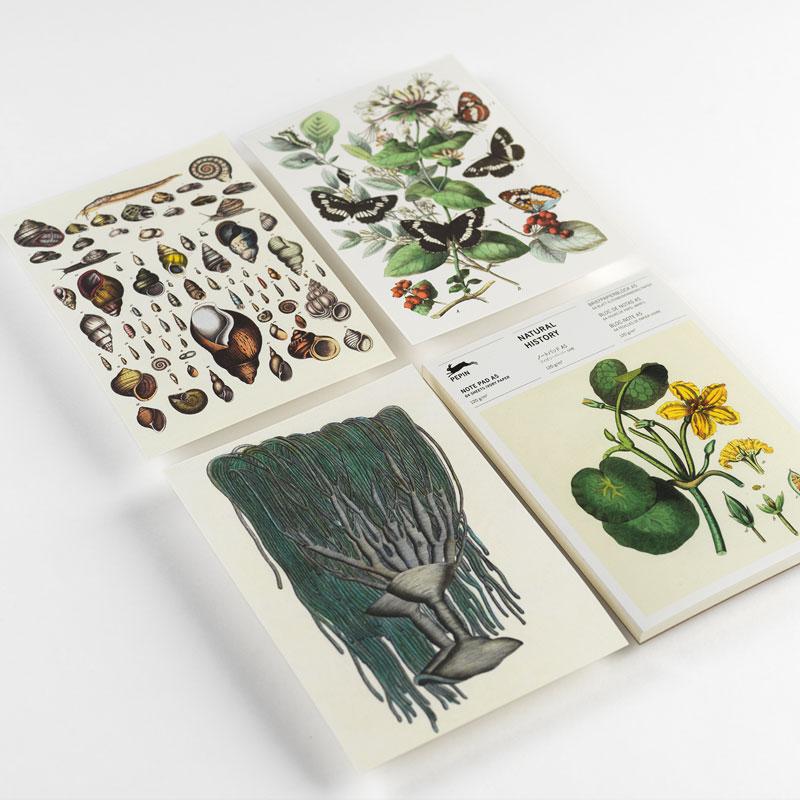 Trendform A5 Note Pad NATURAL HISTORY