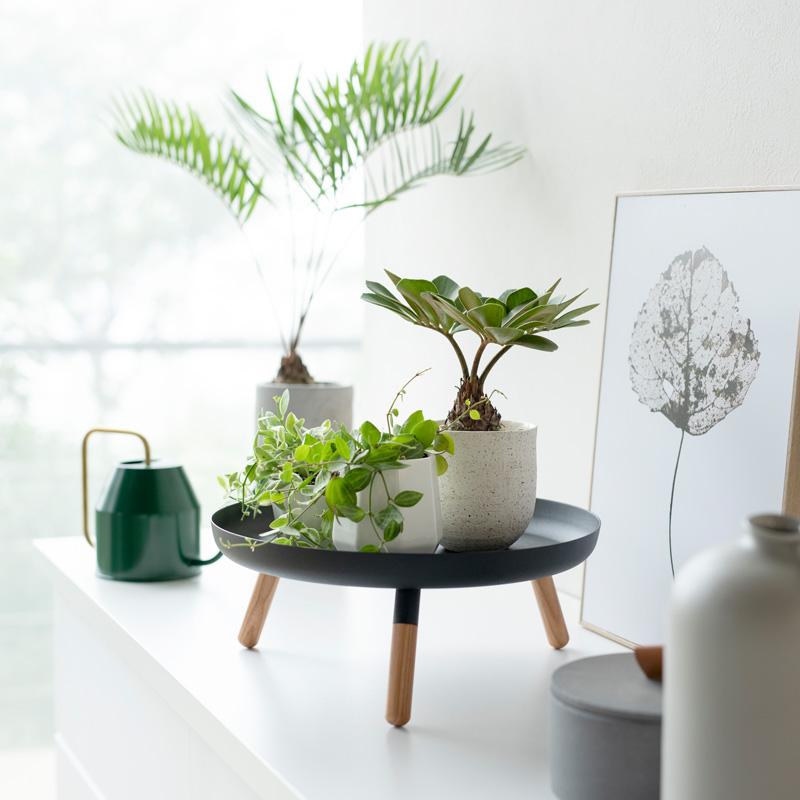 Trendform Ablage/Tablett Mit Füssen PLAIN Schwarz