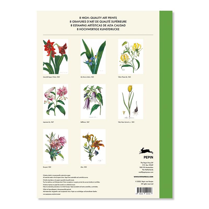 Trendform Art Portfolios FLOWER PRINTS