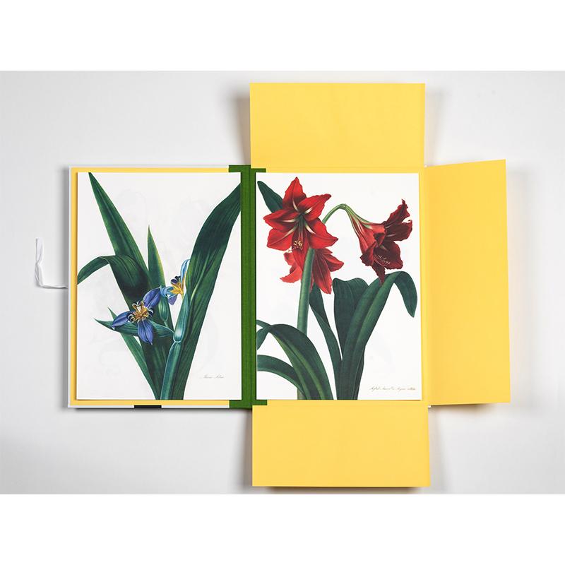 Trendform Art Portfolios FLOWER PRINTS