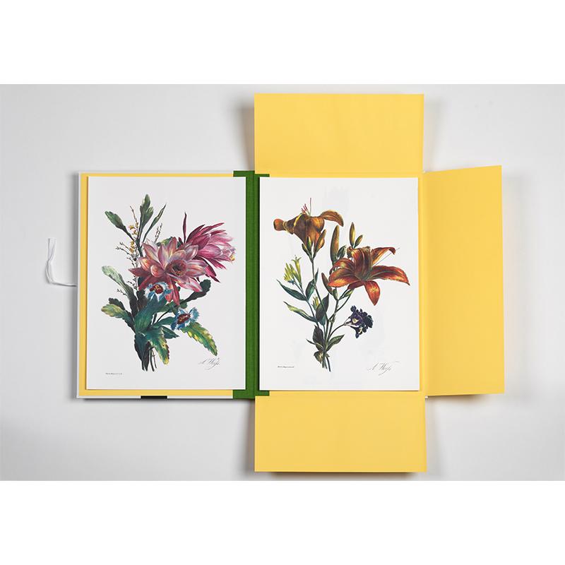 Trendform Art Portfolios FLOWER PRINTS