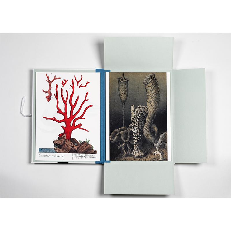 Trendform Art Portfolios MARINE PRINTS