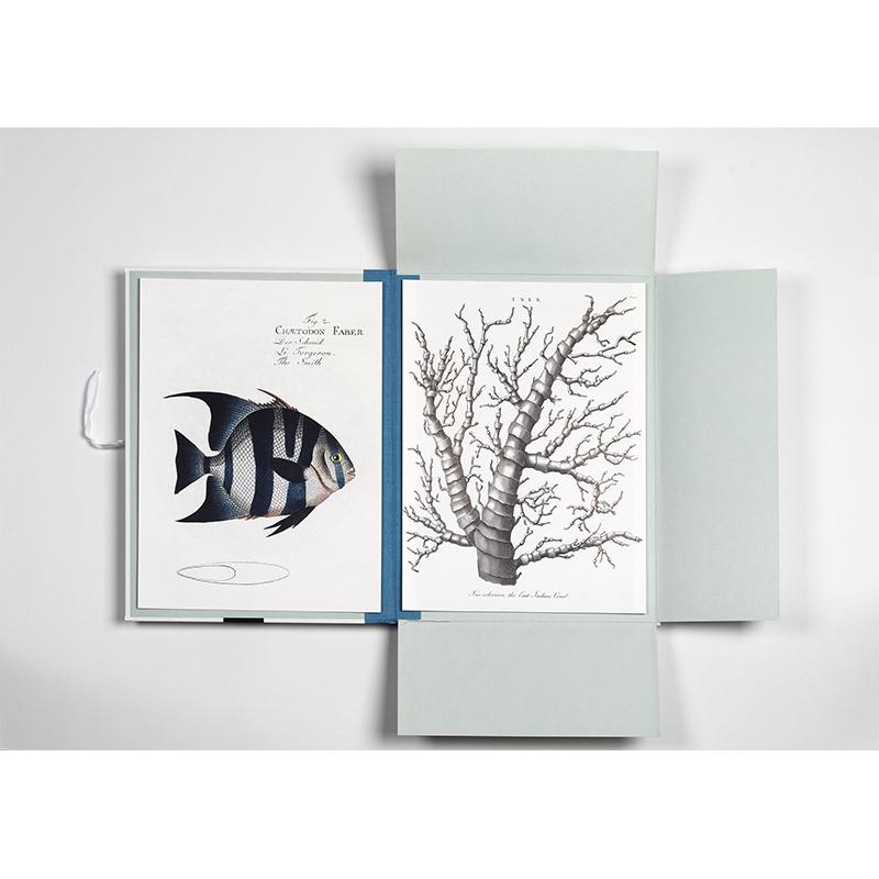 Trendform Art Portfolios MARINE PRINTS