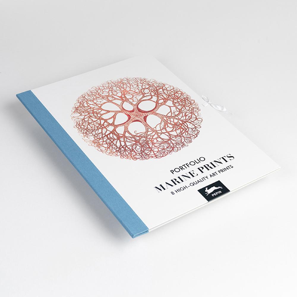 trendform Art Portfolios MARINE PRINTS