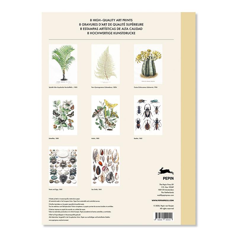 Trendform Art Portfolios NATURAL HISTORY