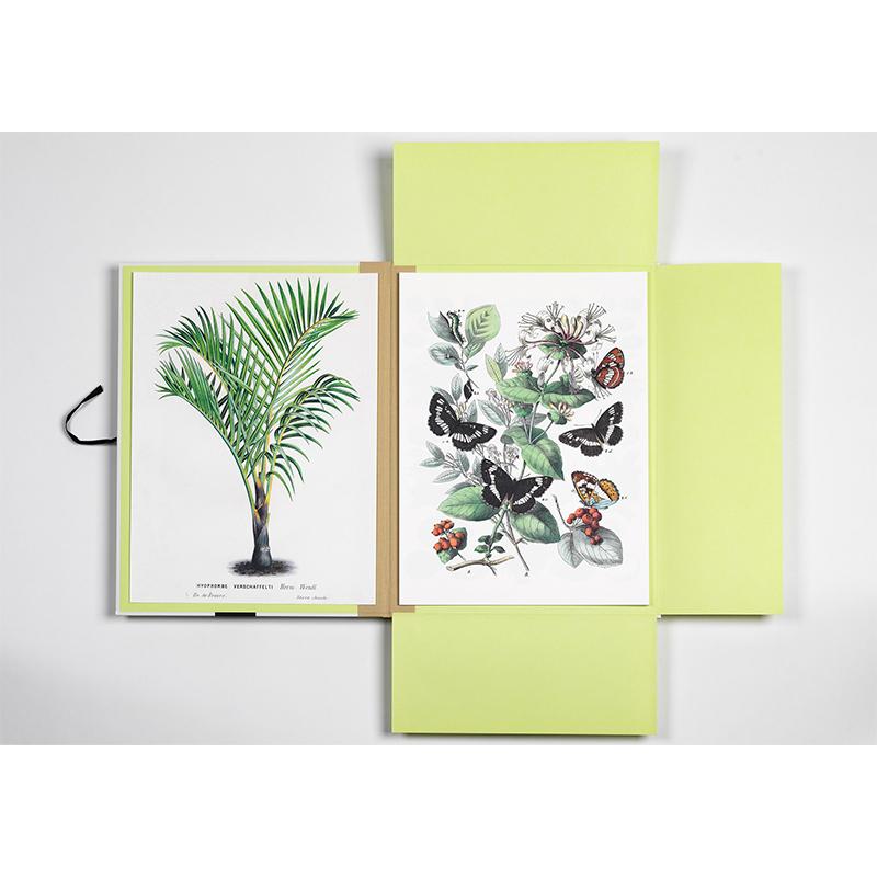 Trendform Art Portfolios NATURAL HISTORY