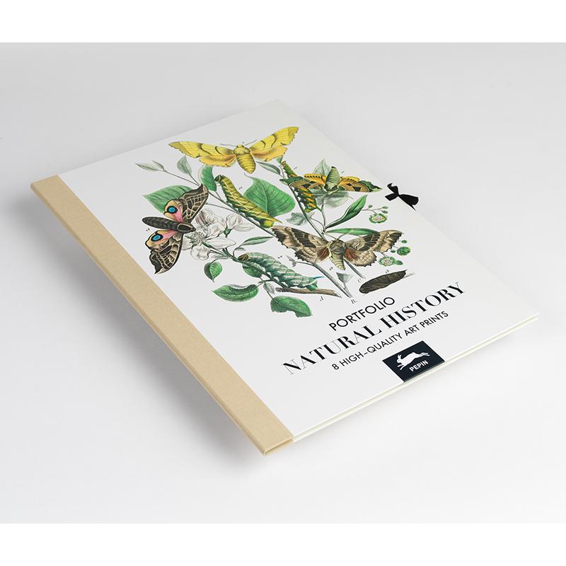 Trendform Art Portfolios NATURAL HISTORY