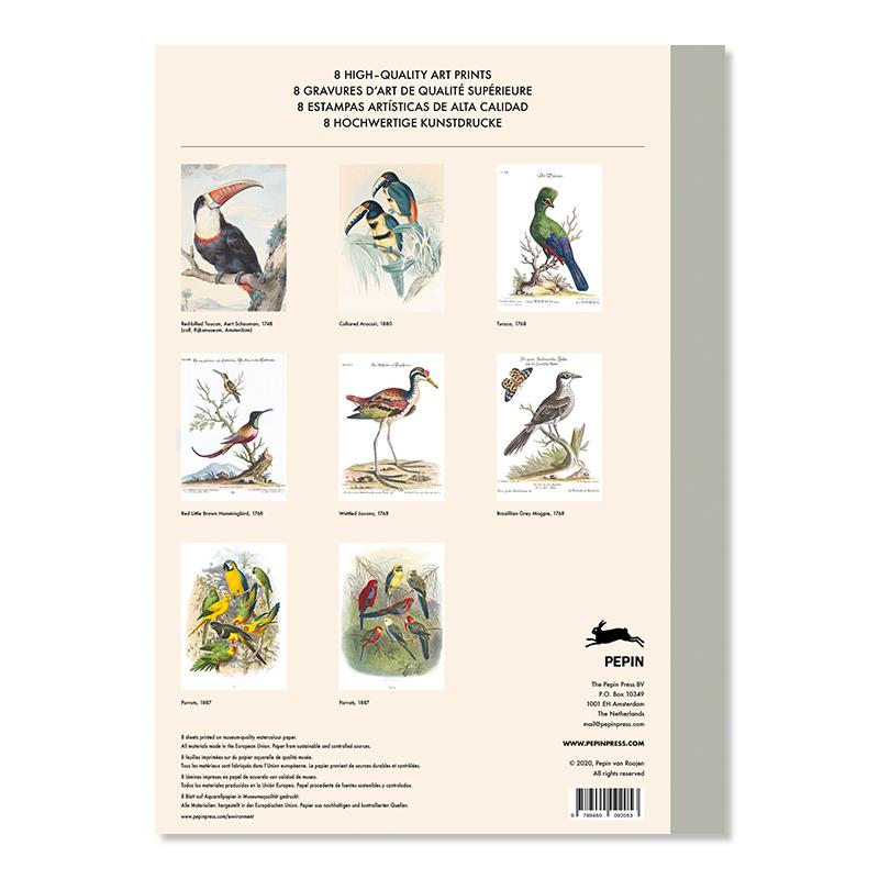 Trendform Art Portfolios TROPICAL BIRD PRINTS