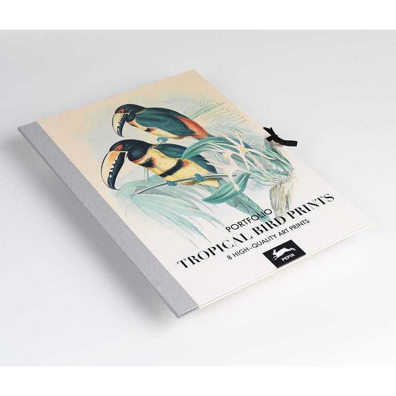Trendform Art Portfolios TROPICAL BIRD PRINTS