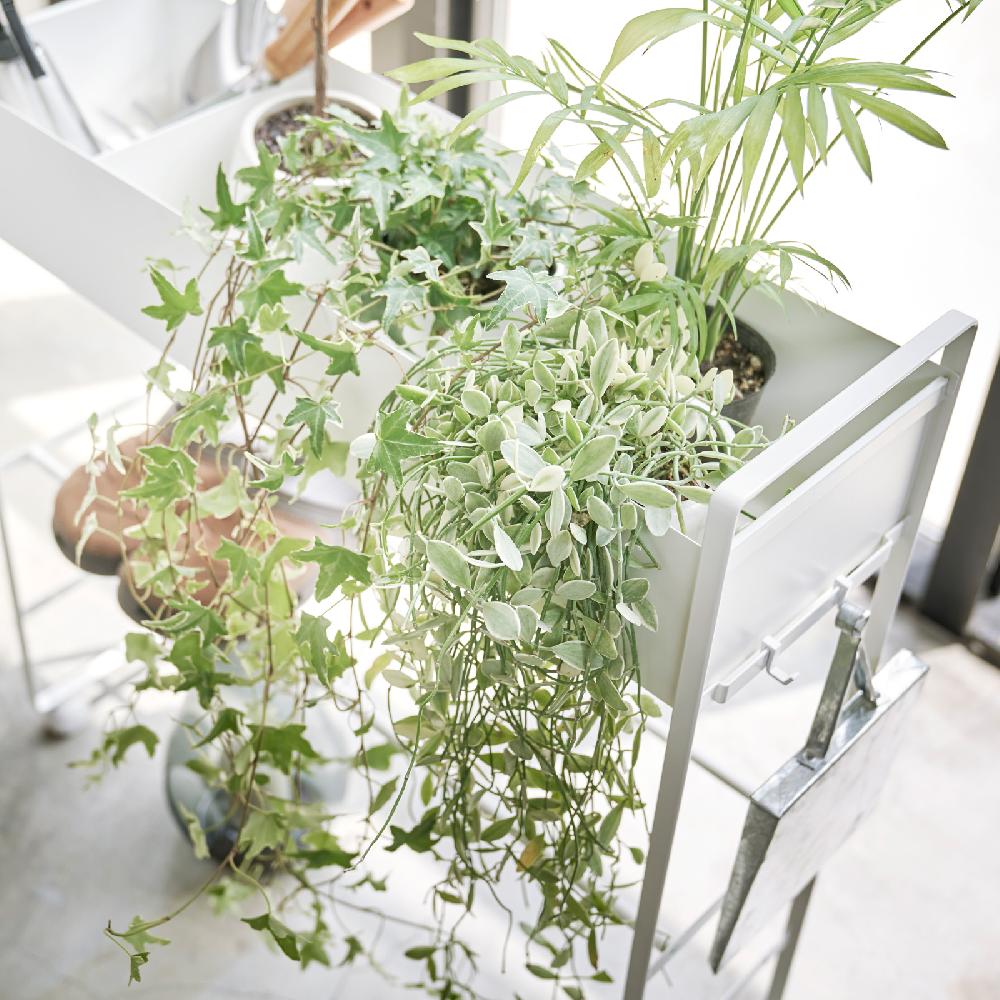 Trendform Aufbewahrungswagen Mit Korb TOWER Weiss