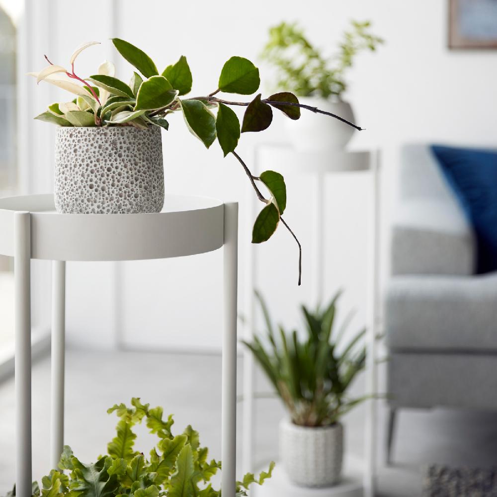 Trendform Deko-/Pflanzen-Regal TOWER Weiss