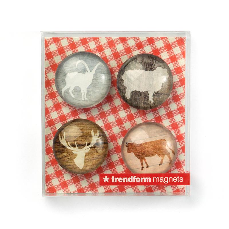 Trendform EYE-Magnete ALP LIFE 4er Set