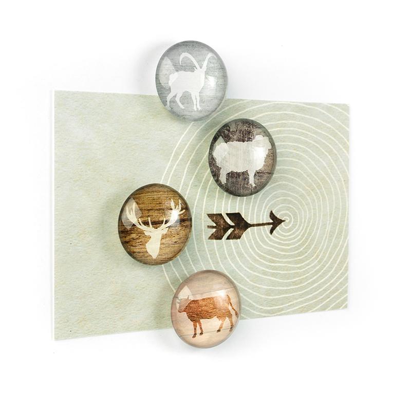 Trendform EYE-Magnete ALP LIFE 4er Set