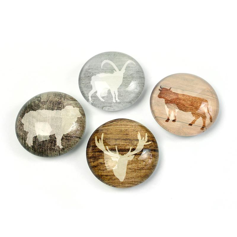 trendform EYE-Magnete ALP LIFE 4er Set