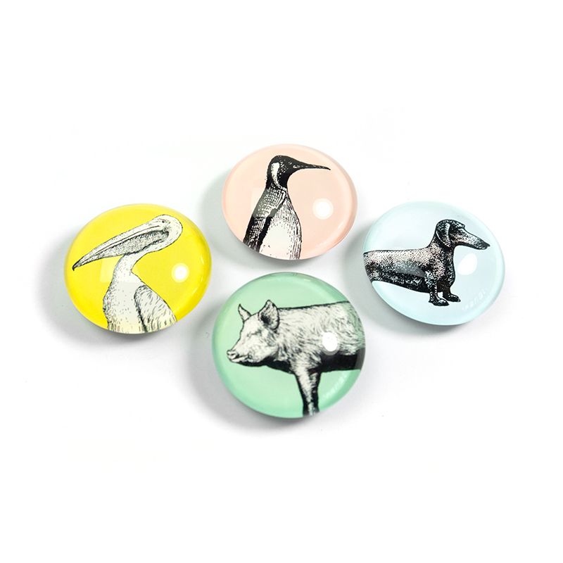 Trendform EYE-Magnete ANIMAL 4er Set