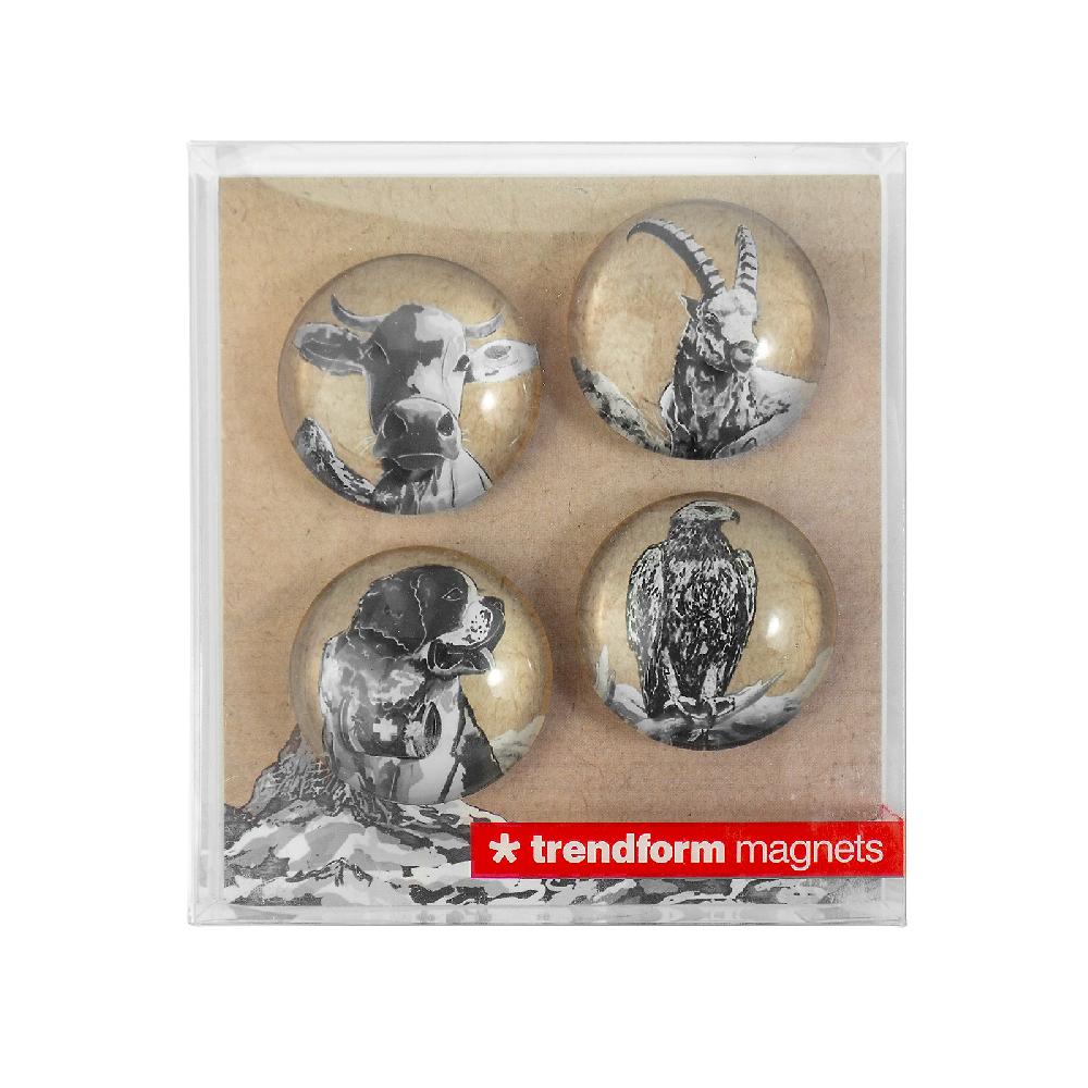 Trendform EYE-Magnete BELLA & FRIENDS 4er Set