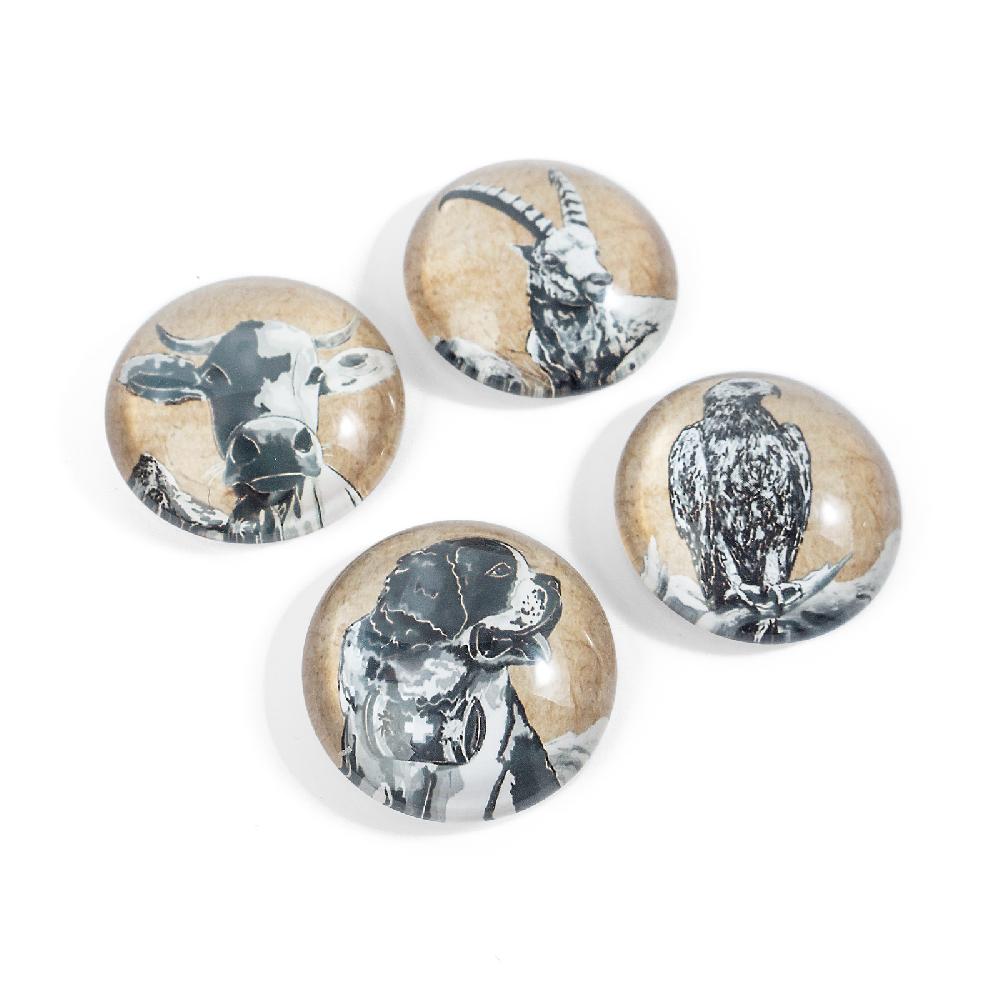 Trendform EYE-Magnete BELLA & FRIENDS 4er Set