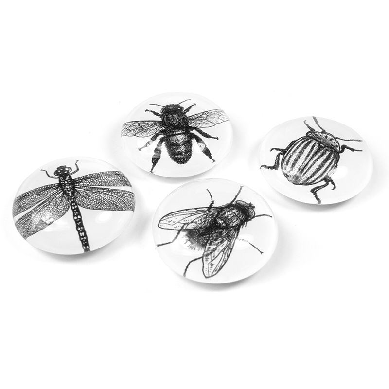 Trendform EYE-Magnete BUG 4er Set