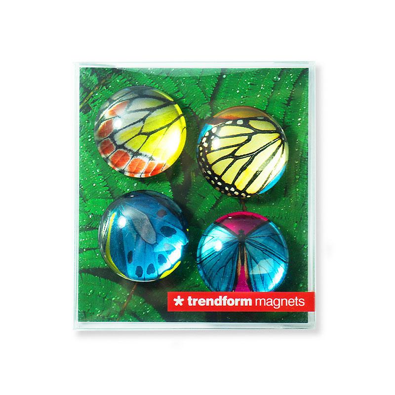 Trendform EYE-Magnete BUTTERFLY 4er Set