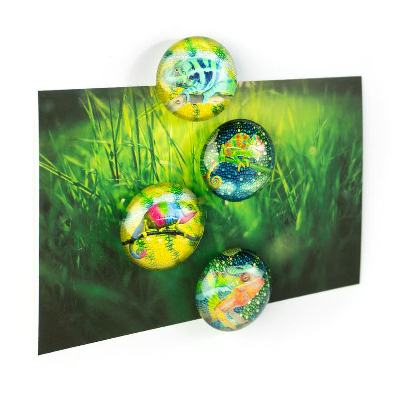 Trendform EYE-Magnete CHAMELEON 4er Set