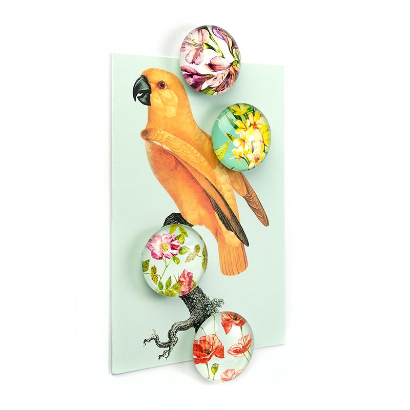 Trendform EYE-Magnete FLOWER 4er Set