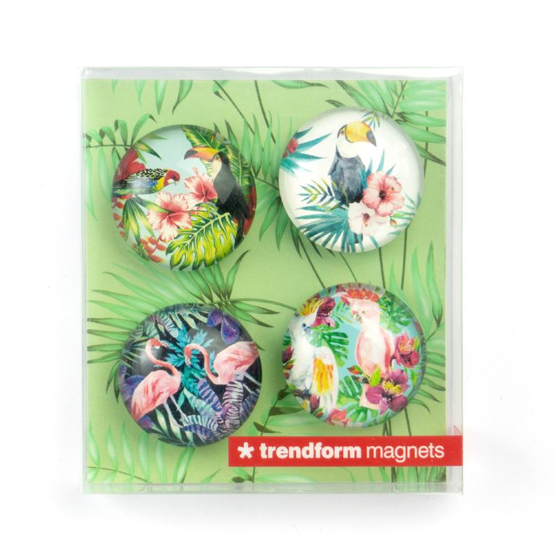 Trendform EYE-Magnete JUNGLE BIRD 4er Set