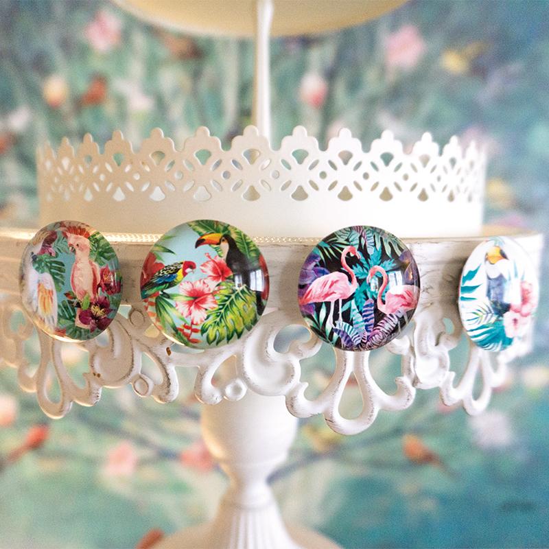 Trendform EYE-Magnete JUNGLE BIRD 4er Set