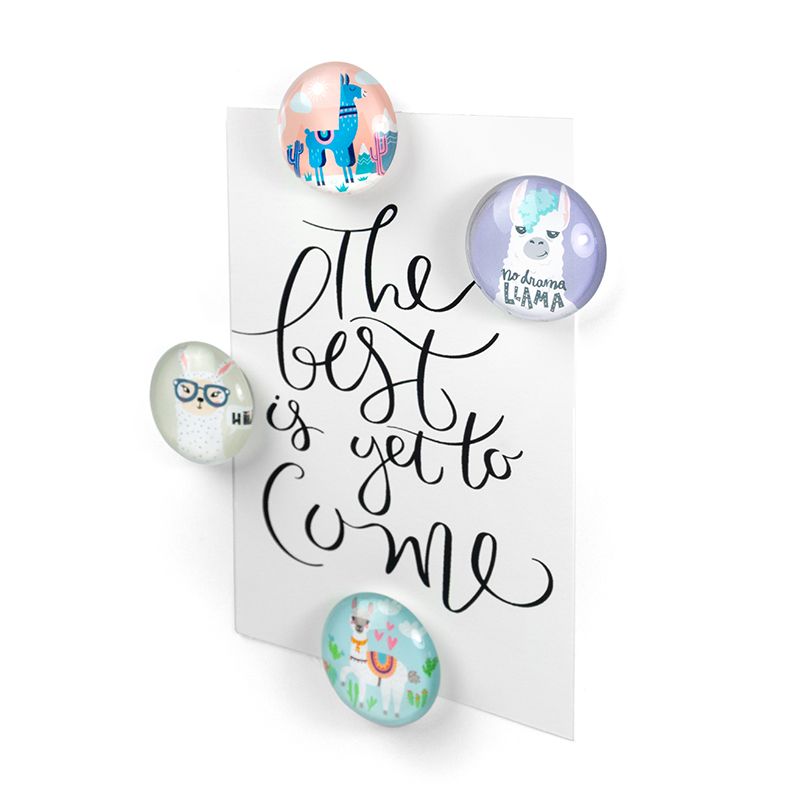 Trendform EYE-Magnete LLAMA 4er Set