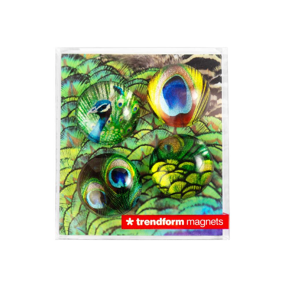Trendform EYE-Magnete PEACOCK 4er Set