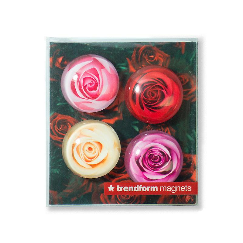 Trendform EYE-Magnete ROSE 4er Set