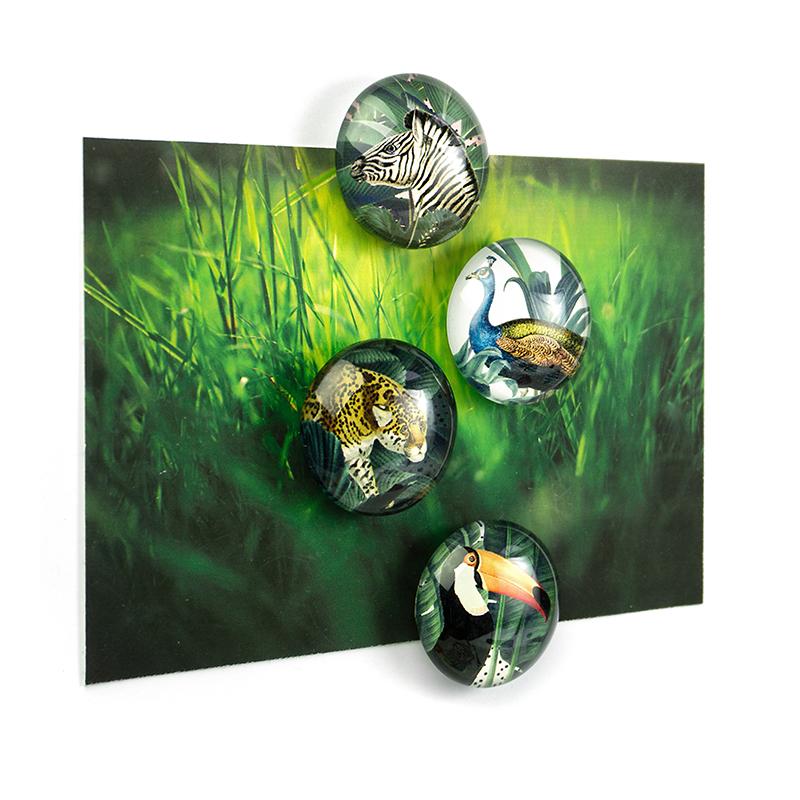 Trendform EYE-Magnete ROYAL GARDEN 4er Set