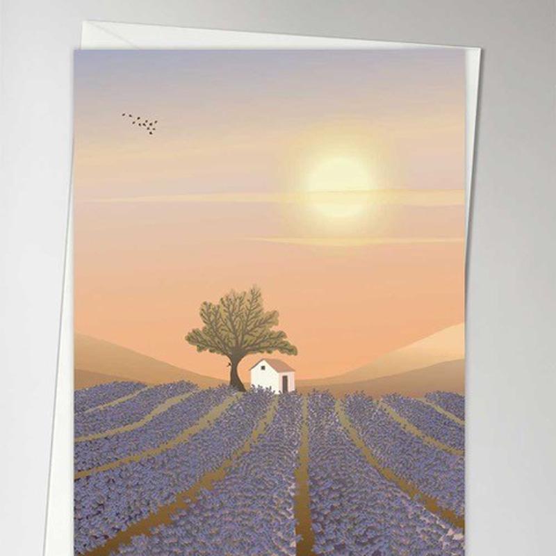 Trendform Greeting Card Lavender Field
