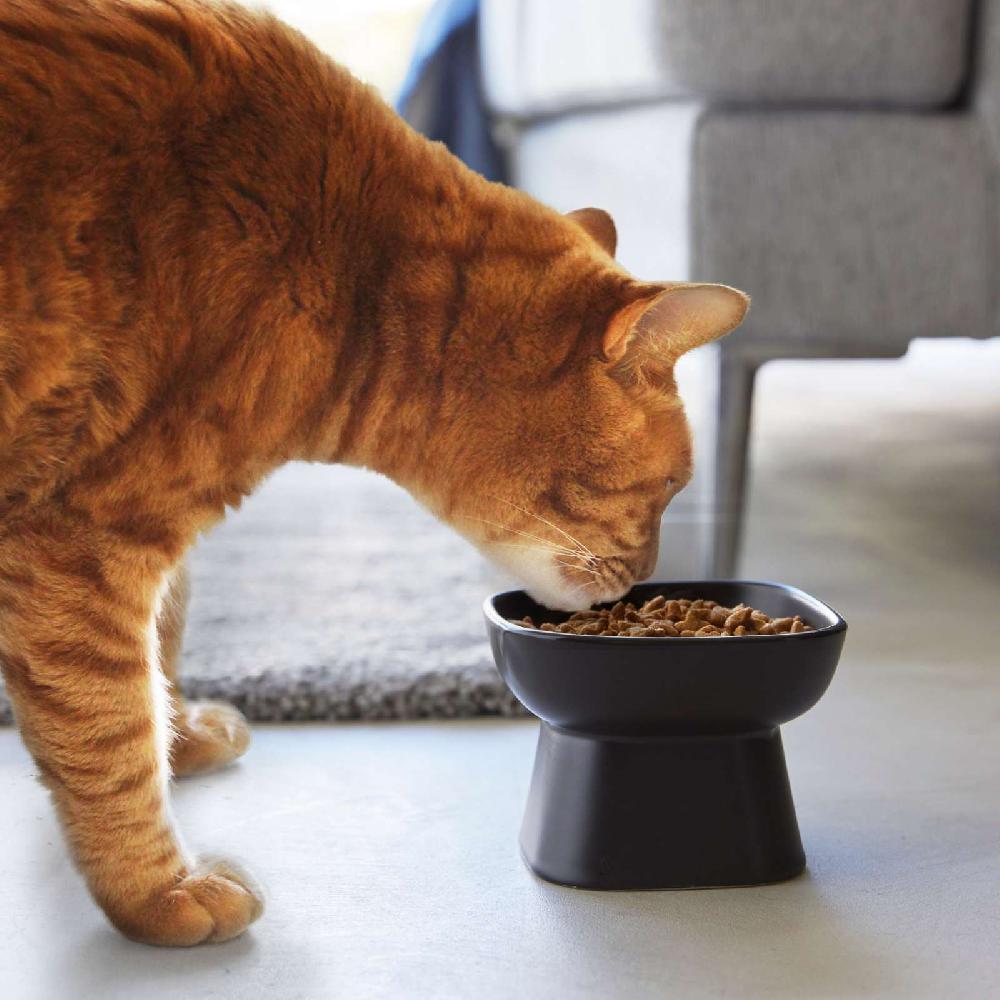 Trendform Keramik-Futternapf TOWER Schwarz