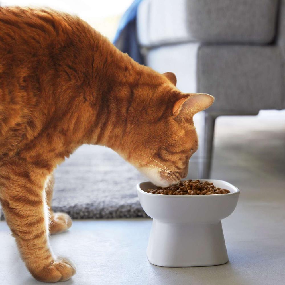 Trendform Keramik-Futternapf TOWER Weiss