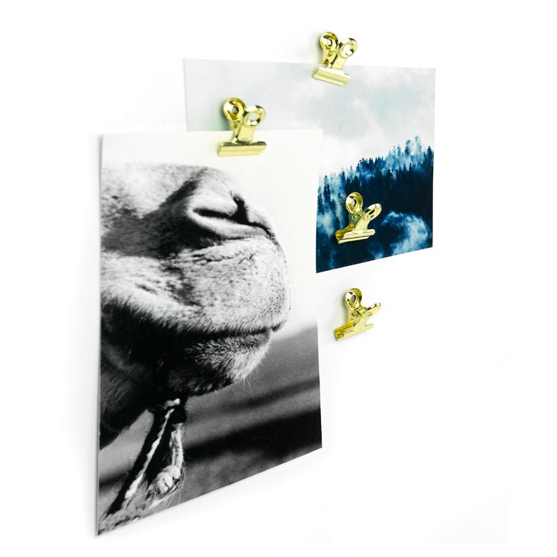 Trendform Magnetclip MINI-GRAFFA 4er Set Messing