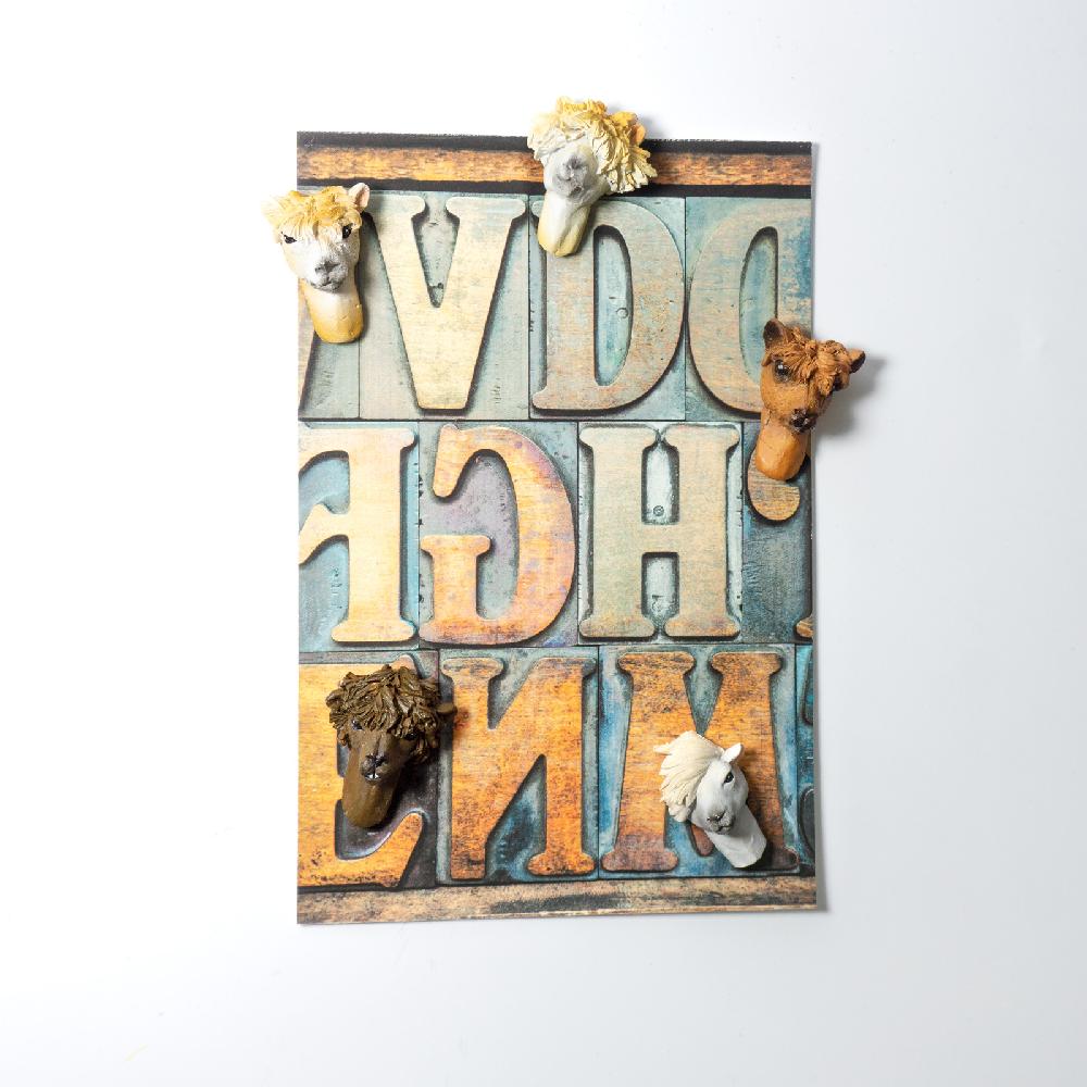 Trendform Magnete ALPACA 5er Set Multicolor