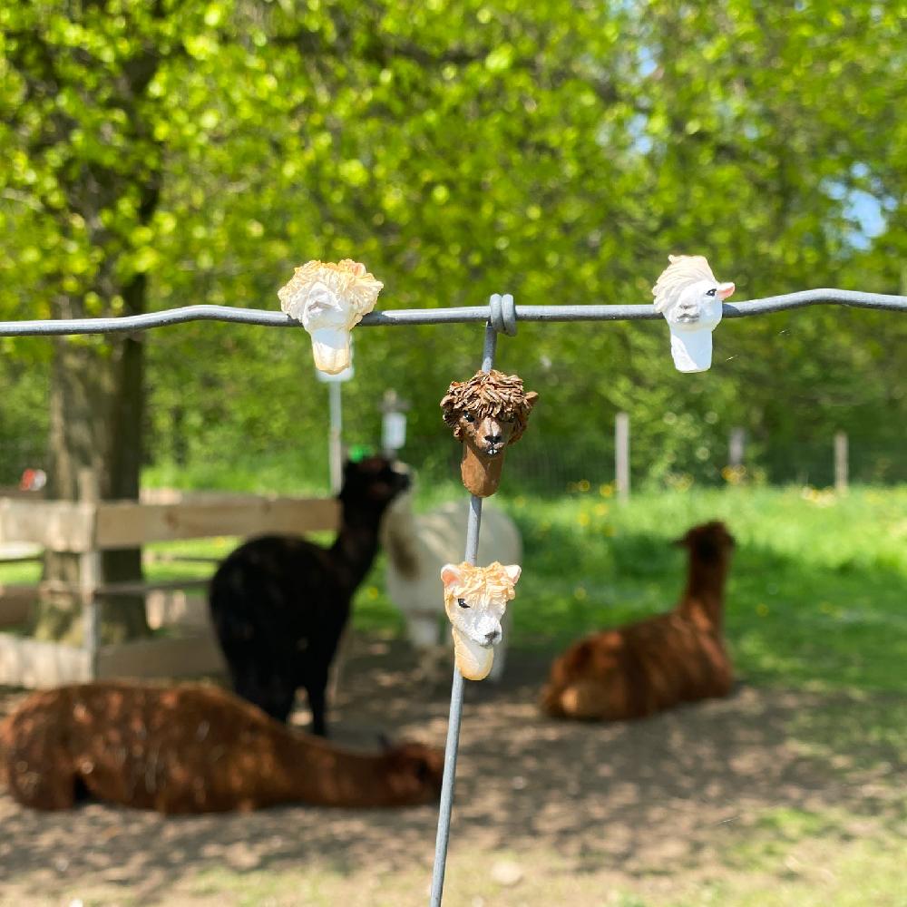 Trendform Magnete ALPACA 5er Set Multicolor