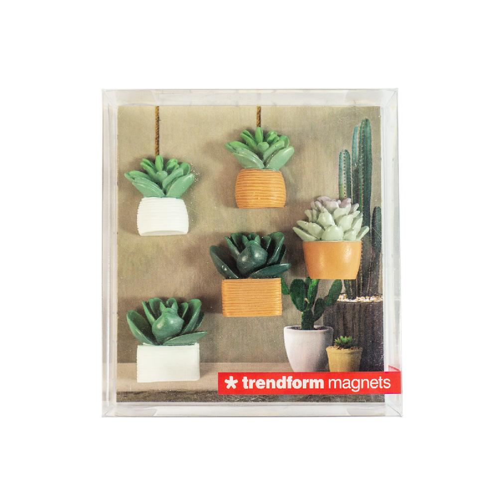 Trendform Magnete CACTUS 5er Set Multicolor