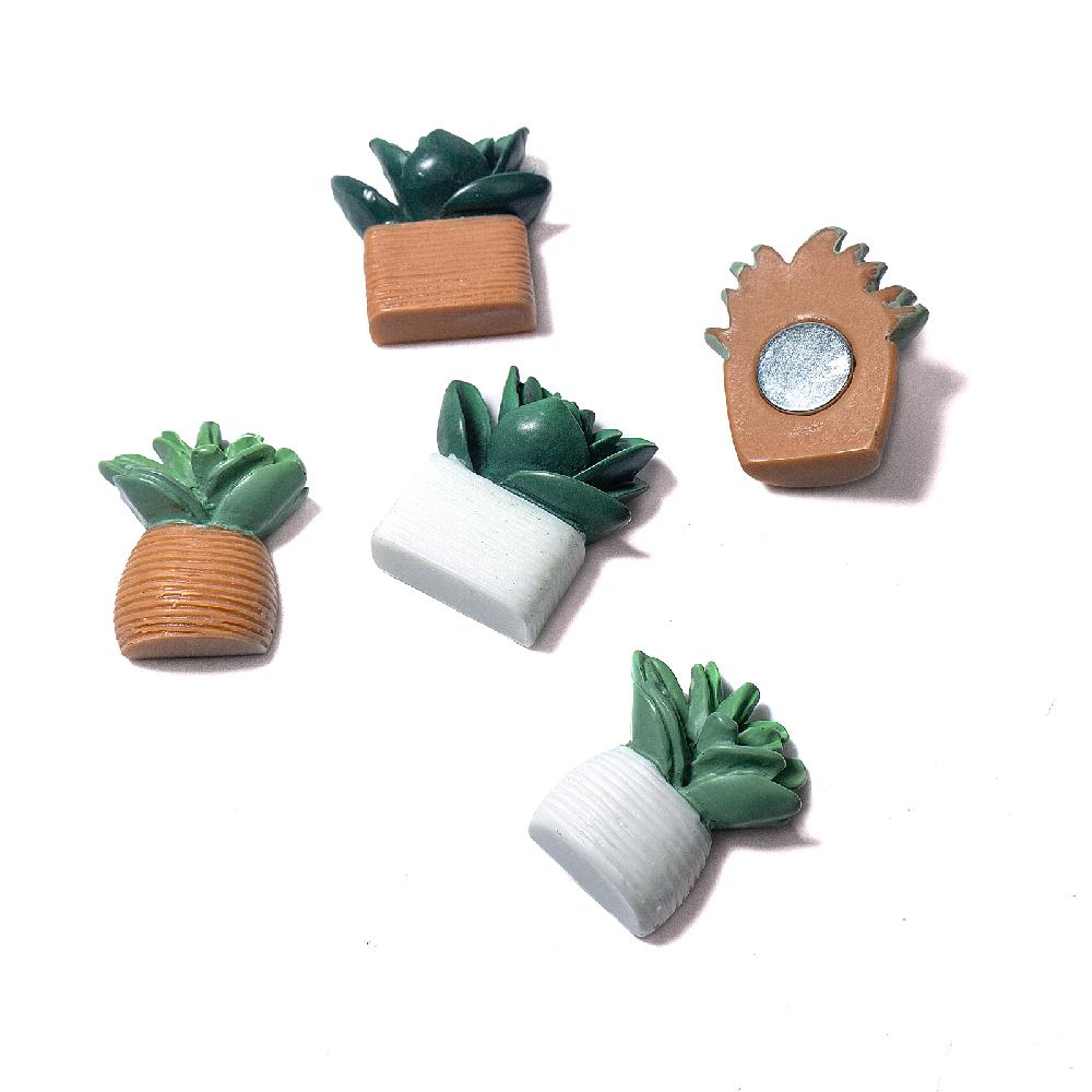 Trendform Magnete CACTUS 5er Set Multicolor