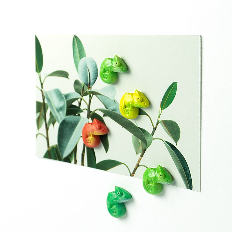Trendform Magnete CHAMELEON 5er Set