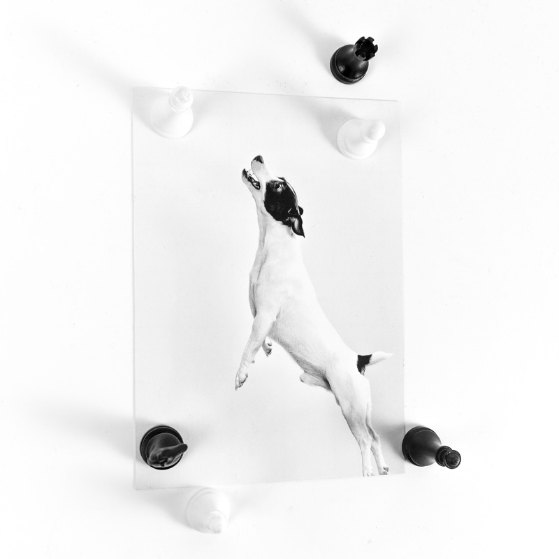 Trendform Magnete CHESS 6er Set Multicolor