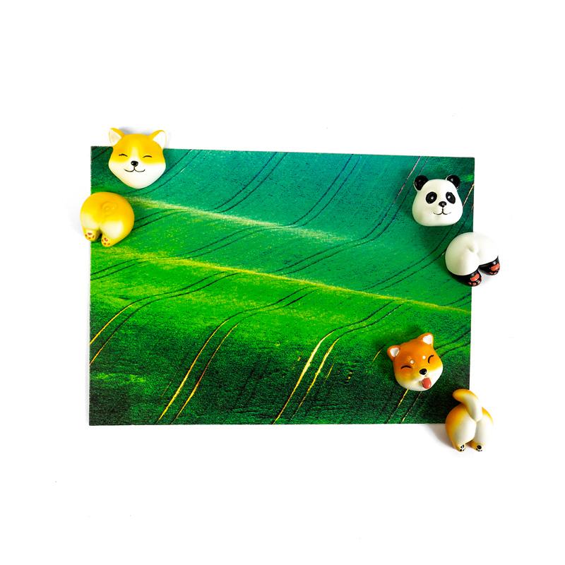 Trendform Magnete CUTE 6er Set Multicolor